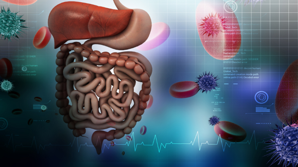 Proteína, Microbiota e Saúde Intestinal