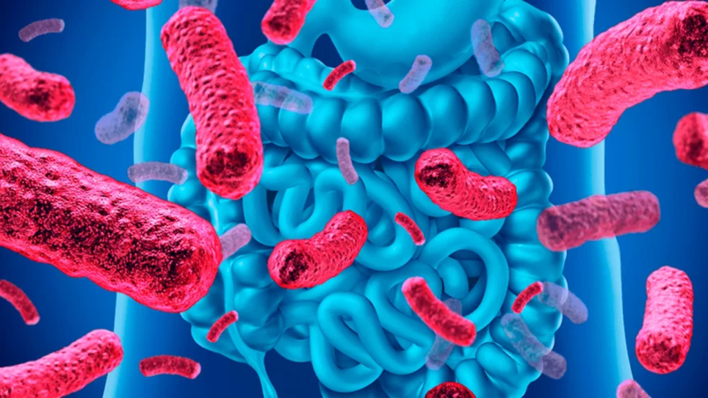 Como cuidar da microbiota?