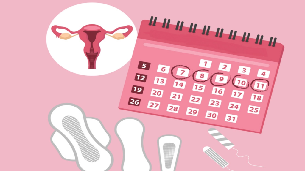 Ciclo Menstrual e Performance