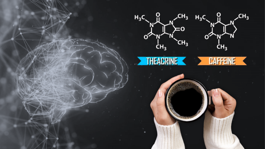 Teacrina: Substituto da Cafeína!
